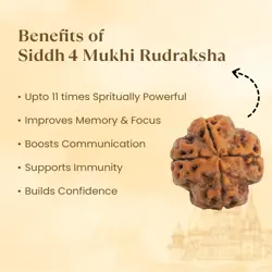 Kashi Siddh Nepal Origin 4 Mukhi Rudraksha - 17mm to 22mm