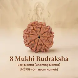 8_Mukhi_1
