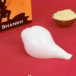  Vamavarti Shankha