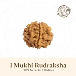 1 Mukhi Rudraksha Original Nepal Bead (17mm–22mm) – Powerful Shiva Rudraksha for Spiritual Awakening, Peace & Manifestation
